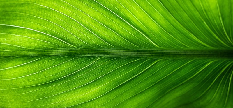Eco-Friendly Tips